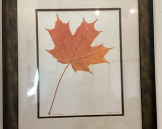 Wall Art Sugar Maple Lithograph Artist Proof R.J. Wilson