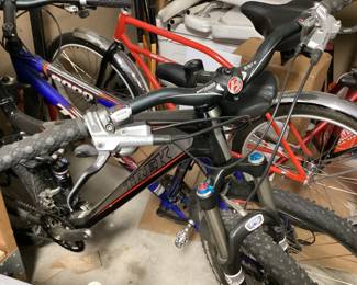 Bicycles Trek and Worksman Bikes