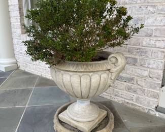 Concrete Fluted Outdoor Garden Urn Planter with Outdoor Plant (26"W x 26"H / 2 Available)