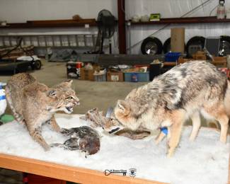 007Some Highlights Yorkville Estate Sale