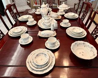 Johann Haviland Bavaria - 12 place settings