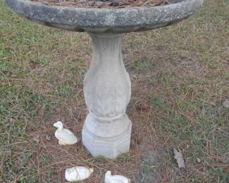 another Bird Bath