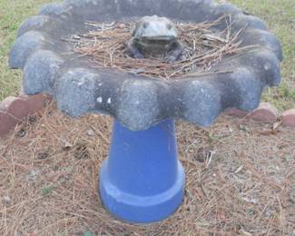 Bird Bath