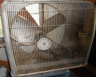 Shop Fan