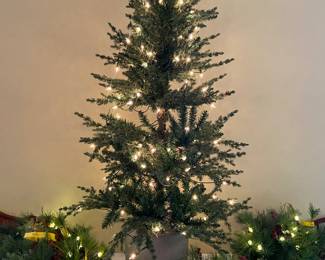 Lighted Christmas decor