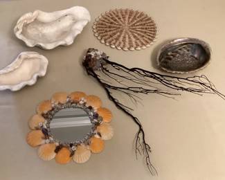 MFS053 Black Coral Branches, Giant Clam Shells, Abalone Shell & More!