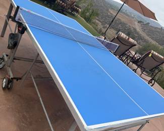 Ping pong fun