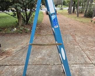 Werner 6 Step Ladder