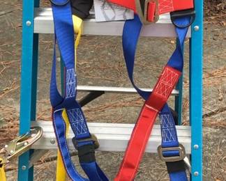 Fall Protection Body Harness