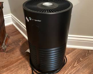 Air purifier ~