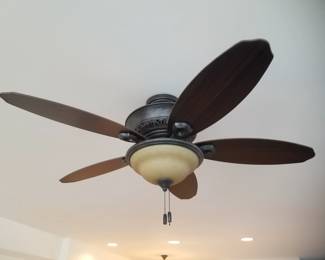 Lighted ceiling fan