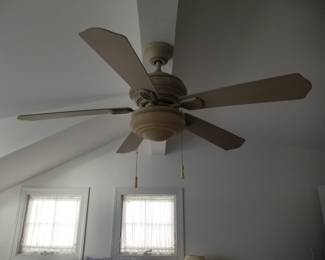 Lighted ceiling fan