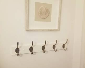 Sand dollar art; hook rack