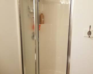 Glass shower door