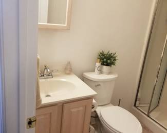 Bath vanity; vanity light; mirror; commode