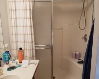Glass shower doors; shower curtain