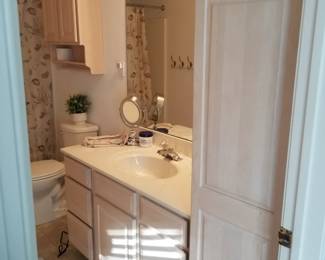 Bath vanity; vanity light; mirror