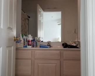 Bath vanity; vanity light; mirror