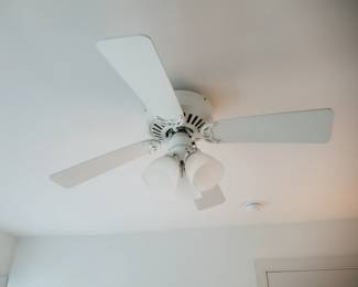Lighted ceiling fan