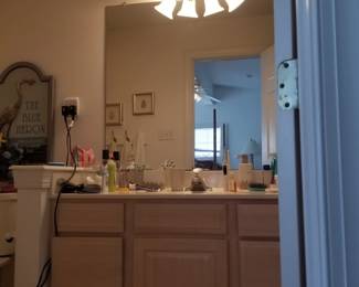 Bath vanity; vanity light; mirror