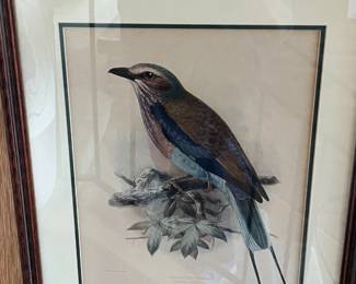 J G Keulemans Litho - lot of 4. Priced separately