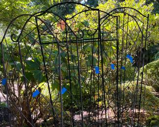Trellises