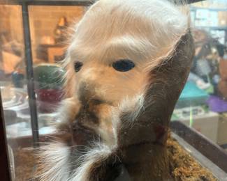 Taxidermy “Florida swamp booger”  Sasquatch vintage (deer butt)