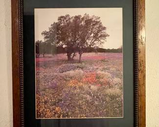 FRAMED WILDFLOWER PHOTO