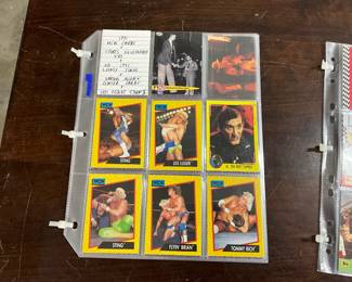 1991 WCW & 1993 Looney Tunes & 1991 Desert Storm & Other Trading Cards
