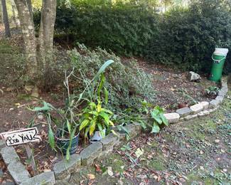 Plants