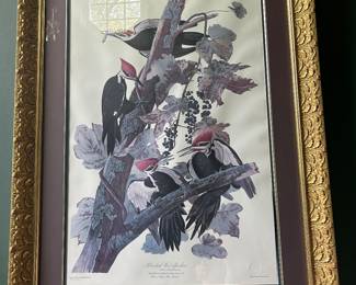 Princeton Audubon Double Elephant Edition - The Pileated Woodpecker