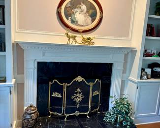 Beautiful Firescreen