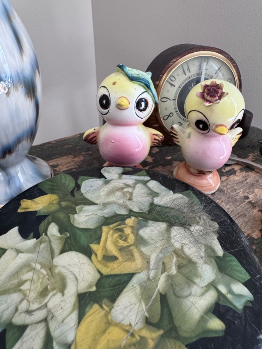 These kitty chicks are looking for a new home, hopes its with you!