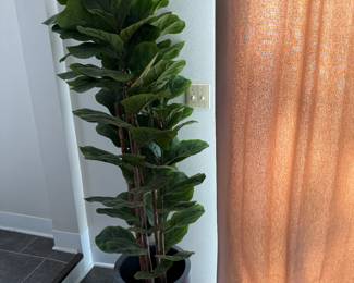 Sunroom
Fiddleback artificial tree