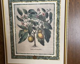 Framed Print