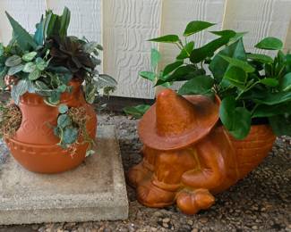 planters and plants for sale!