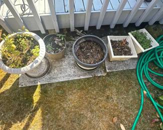 Pots