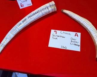 Scrimshaw Tusk/ Deer Antler
