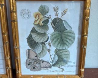 Botanical Print with Butterfly and Berries in Faux Bamboo Frame