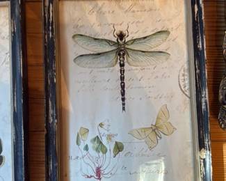 Set of Two Framed Botanical and Insect Prints