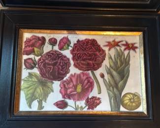 Pair of Vintage Botanical Prints