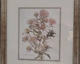 Framed Botanical Print of Asters