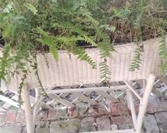 Wicker Planter Stand with Ferns