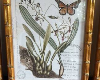 Vintage Botanical Print with Butterfly in Bamboo Frame