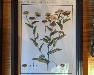 Antique Botanical Prints (Set of 2)