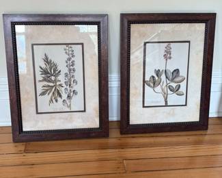 Pair of Botanical Prints: Aconitum Napellus and Menyanthes Trifoliata