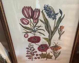 Vintage Botanical Print Set