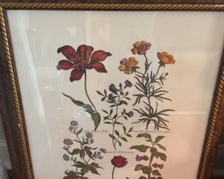 Vintage Botanical Print Set