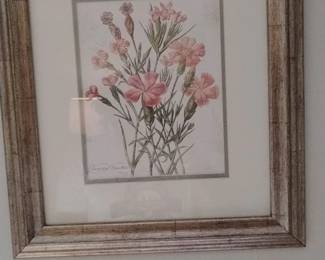 Framed Botanical Print of Pink Carnations