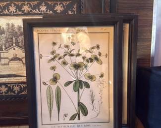 Antique Botanical Prints (Set of 2)